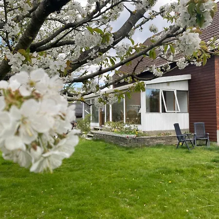 Spacious & Well Located Apartement * Herlev